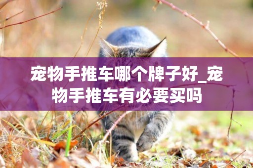寵物手推車哪個牌子好_寵物手推車有必要買嗎