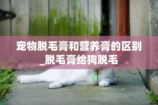 寵物脫毛膏和營養膏的區別_脫毛膏給狗脫毛