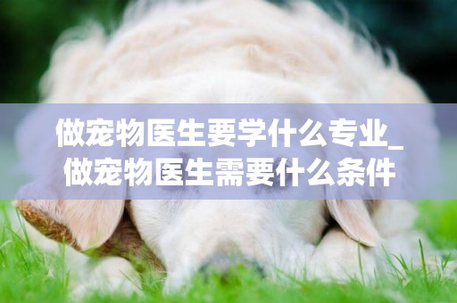 做寵物醫生要學什么專業_做寵物醫生需要什么條件
