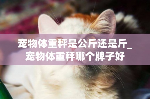 寵物體重秤是公斤還是斤_寵物體重秤哪個牌子好