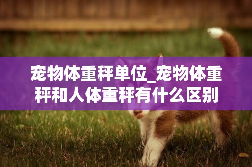 寵物體重秤單位_寵物體重秤和人體重秤有什么區別