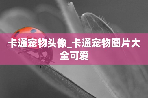 卡通寵物頭像_卡通寵物圖片大全可愛