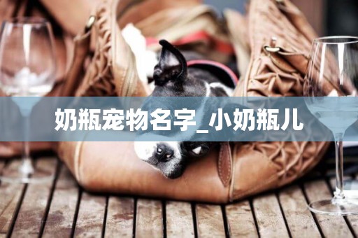 奶瓶寵物名字_小奶瓶兒