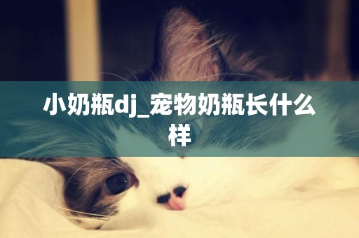 小奶瓶dj_寵物奶瓶長什么樣