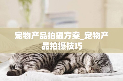 寵物產品拍攝方案_寵物產品拍攝技巧