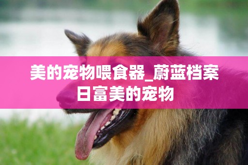 美的寵物喂食器_蔚藍檔案日富美的寵物