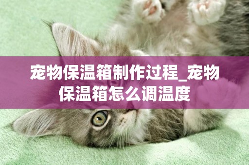 寵物保溫箱制作過程_寵物保溫箱怎么調溫度