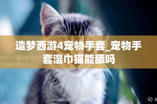 造夢西游4寵物手套_寵物手套濕巾貓能舔嗎