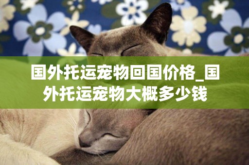 國外托運寵物回國價格_國外托運寵物大概多少錢