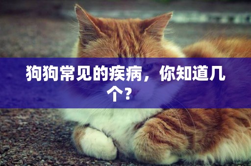 狗狗常見的疾病，你知道幾個？ 