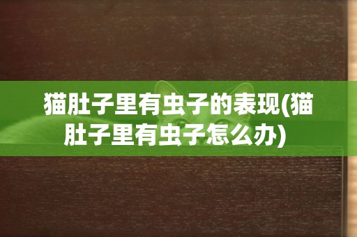 貓肚子里有蟲子的表現(貓肚子里有蟲子怎么辦) 