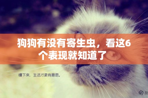 狗狗有沒有寄生蟲，看這6個表現就知道了 