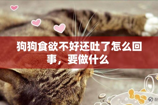 狗狗食欲不好還吐了怎么回事，要做什么 
