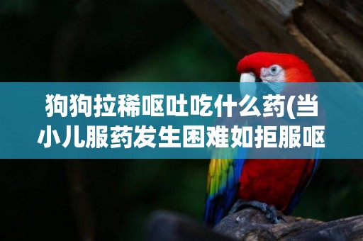 狗狗拉稀嘔吐吃什么藥(當小兒服藥發生困難如拒服嘔吐等應采取的方法不包括) 