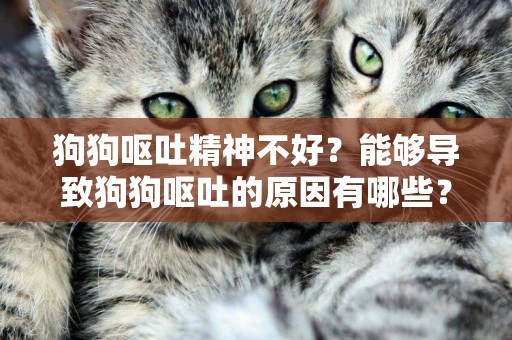 狗狗嘔吐精神不好？能夠導致狗狗嘔吐的原因有哪些？應該怎么處理 