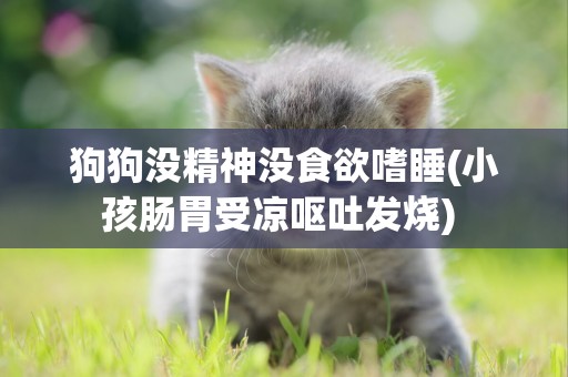 狗狗沒精神沒食欲嗜睡(小孩腸胃受涼嘔吐發燒) 