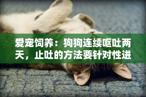 愛寵飼養：狗狗連續嘔吐兩天，止吐的方法要針對性進行 