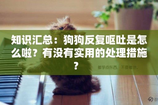知識匯總：狗狗反復嘔吐是怎么啦？有沒有實用的處理措施？ 