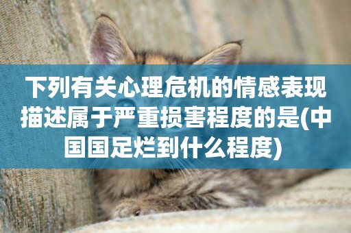 下列有關心理危機的情感表現描述屬于嚴重損害程度的是(中國國足爛到什么程度) 