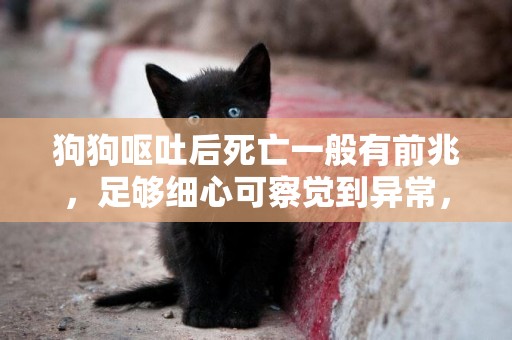 狗狗嘔吐后死亡一般有前兆，足夠細心可察覺到異常，這會是什么病 