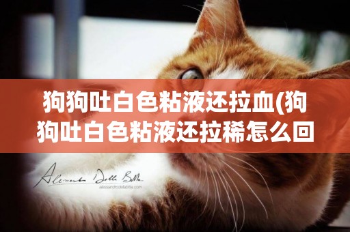 狗狗吐白色粘液還拉血(狗狗吐白色粘液還拉稀怎么回事) 