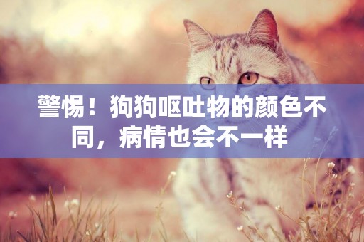 警惕！狗狗嘔吐物的顏色不同，病情也會不一樣 
