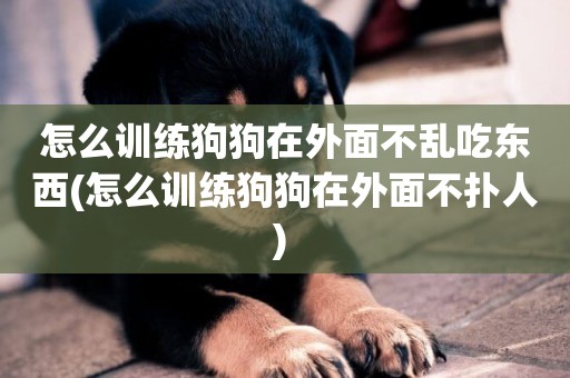 怎么訓練狗狗在外面不亂吃東西(怎么訓練狗狗在外面不撲人) 