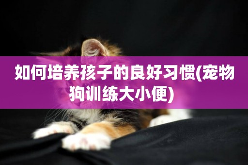 如何培養孩子的良好習慣(寵物狗訓練大小便) 
