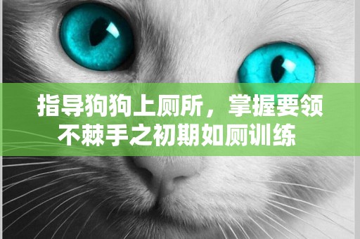 指導狗狗上廁所，掌握要領不棘手之初期如廁訓練 