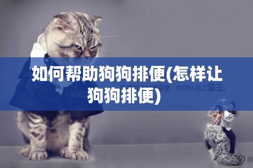 如何幫助狗狗排便(怎樣讓狗狗排便) 