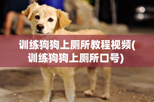 訓練狗狗上廁所教程視頻(訓練狗狗上廁所口號) 