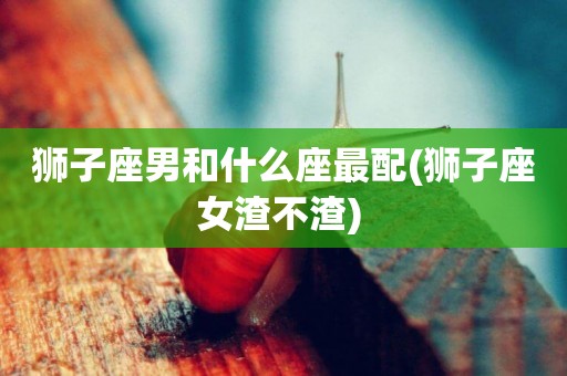 獅子座男和什么座最配(獅子座女渣不渣) 