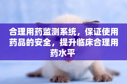 合理用藥監測系統，保證使用藥品的安全，提升臨床合理用藥水平 