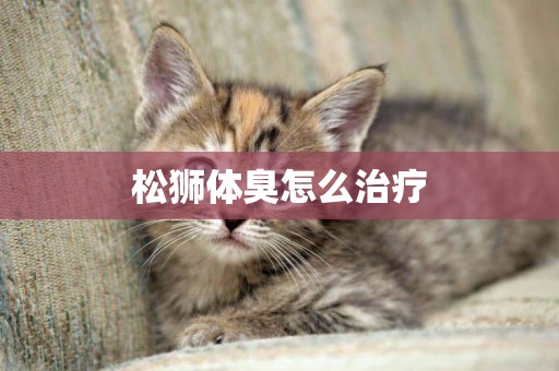 松獅體臭怎么治療