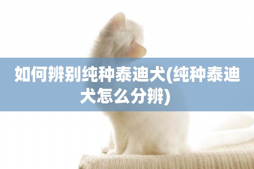 如何辨別純種泰迪犬(純種泰迪犬怎么分辨) 