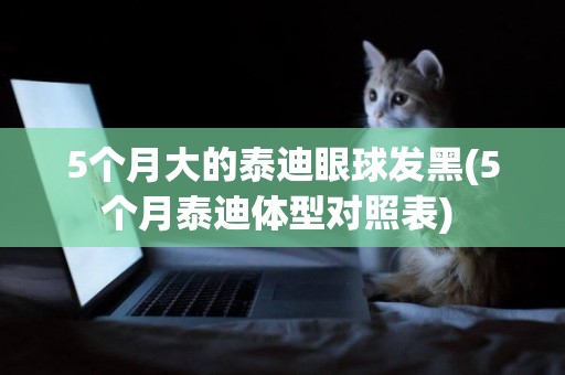 5個月大的泰迪眼球發黑(5個月泰迪體型對照表) 