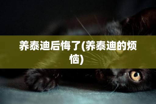 養泰迪后悔了(養泰迪的煩惱) 
