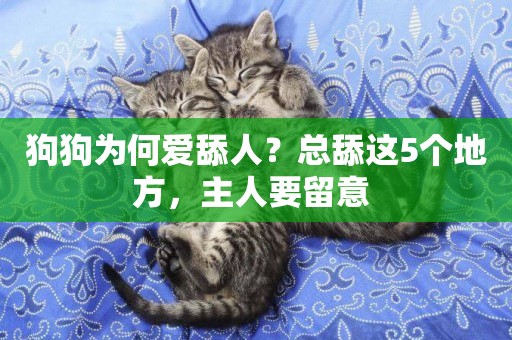 狗狗為何愛舔人？總舔這5個地方，主人要留意 
