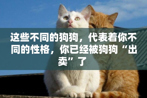 這些不同的狗狗，代表著你不同的性格，你已經被狗狗“出賣”了 