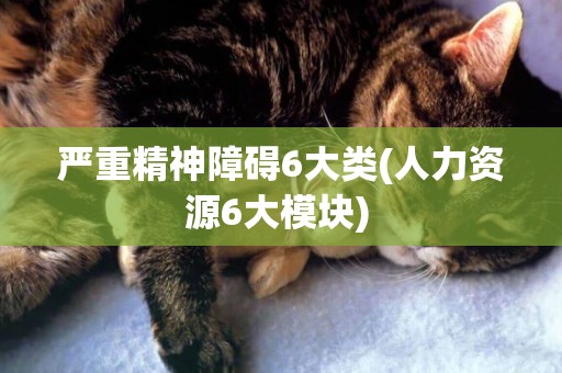 嚴重精神障礙6大類(人力資源6大模塊) 