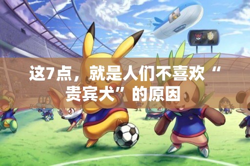 這7點，就是人們不喜歡“貴賓犬”的原因 