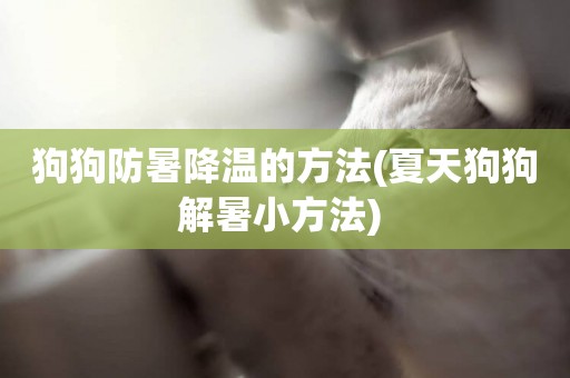 狗狗防暑降溫的方法(夏天狗狗解暑小方法) 