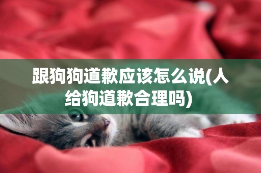 跟狗狗道歉應該怎么說(人給狗道歉合理嗎) 