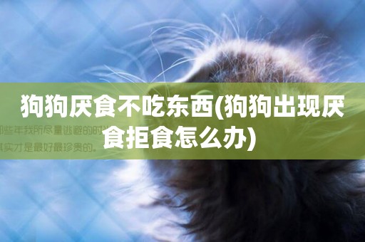 狗狗厭食不吃東西(狗狗出現厭食拒食怎么辦) 