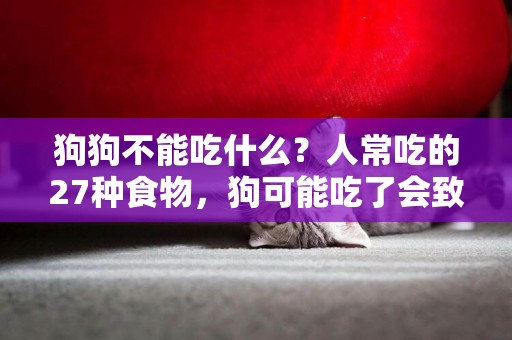 狗狗不能吃什么？人常吃的27種食物，狗可能吃了會致命 