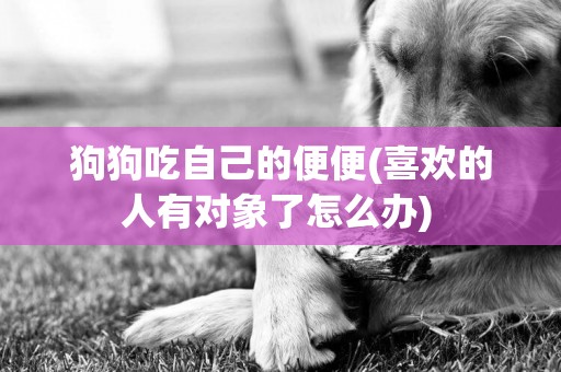 狗狗吃自己的便便(喜歡的人有對象了怎么辦) 