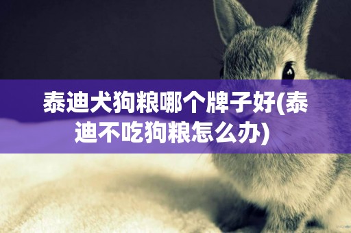 泰迪犬狗糧哪個牌子好(泰迪不吃狗糧怎么辦) 