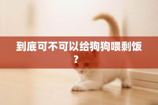 到底可不可以給狗狗喂剩飯？ 