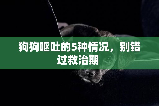 狗狗嘔吐的5種情況，別錯過救治期 