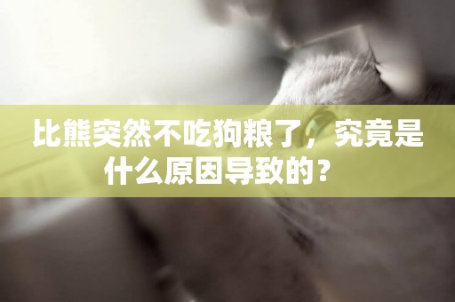 比熊突然不吃狗糧了，究竟是什么原因導致的？ 